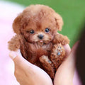 あらゆる年齢向けのリアルな動きをするリアルなぬいぐるみの子犬