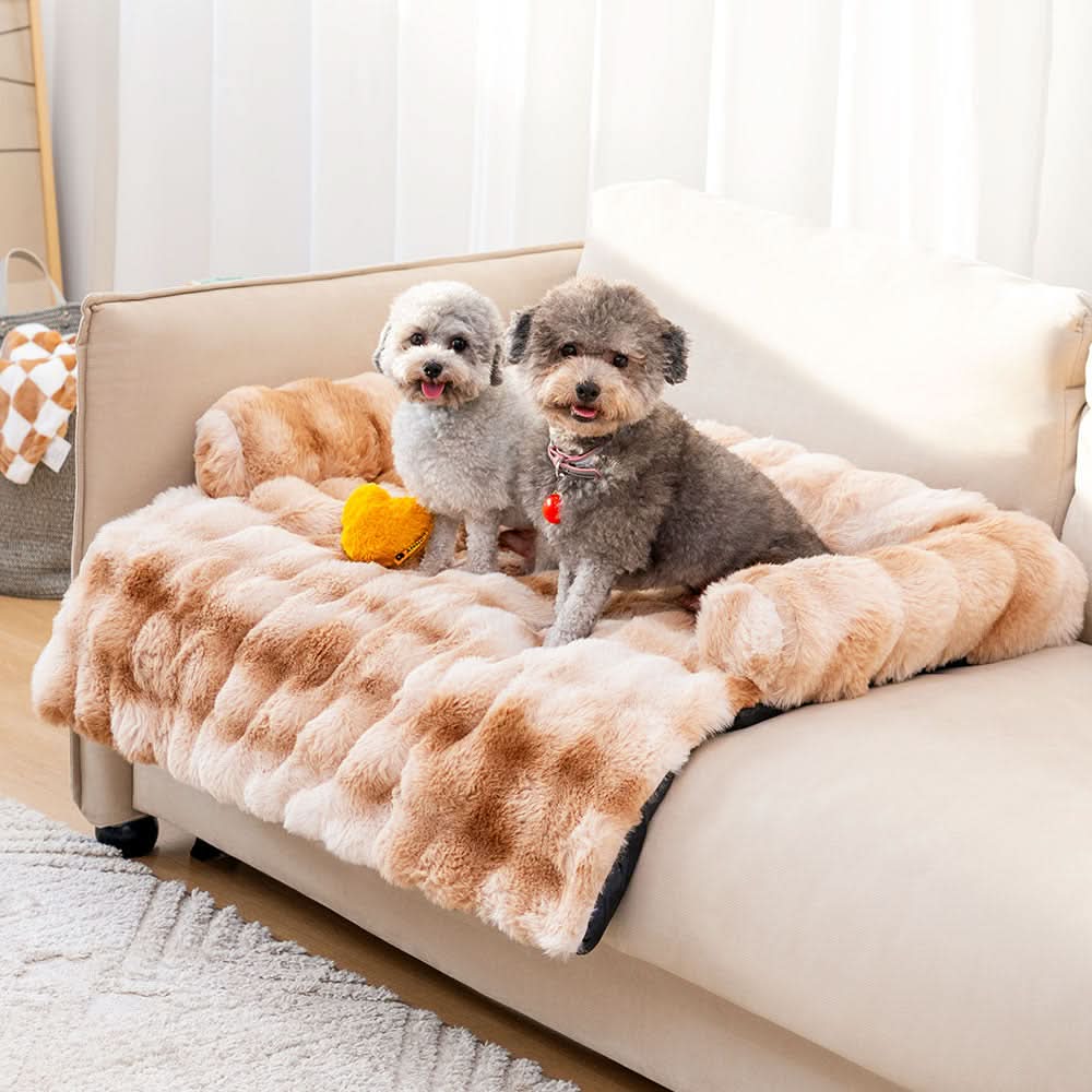 スランバーネスト コージー 犬用ソファベッド ペットオーナー向け家具保護付き