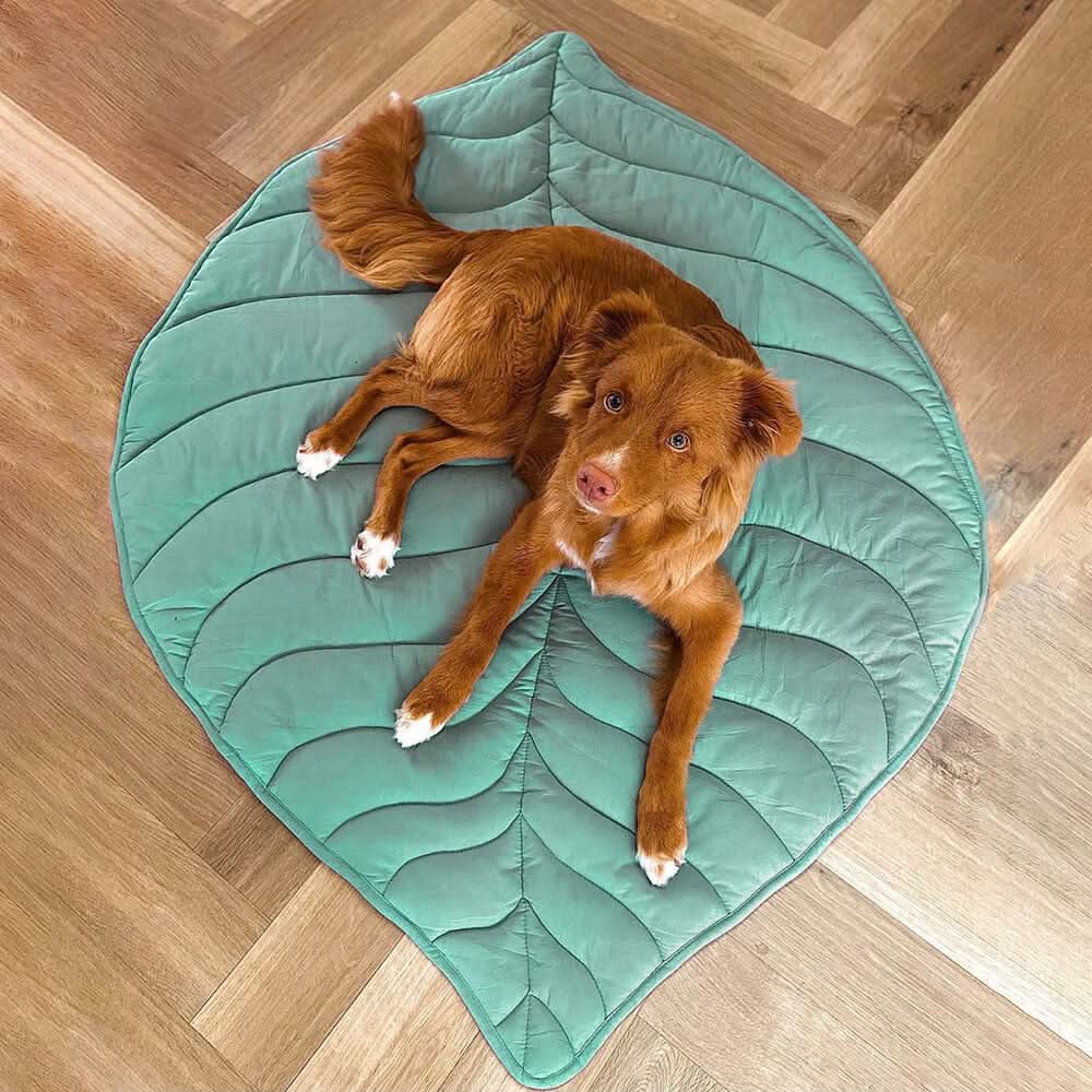 フォレストネスト リーフ型 犬用ブランケット 柔らかいパッド入り 多用途マット