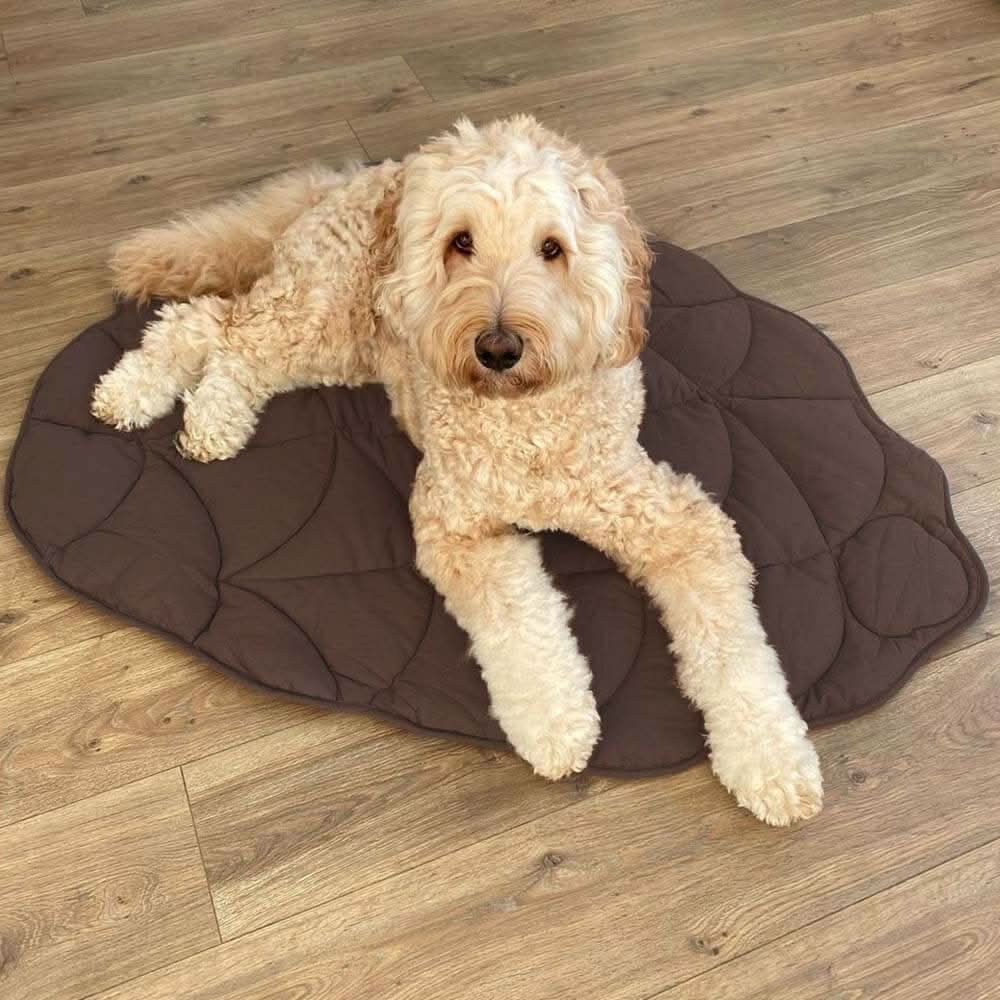 フォレストネスト リーフ型 犬用ブランケット 柔らかいパッド入り 多用途マット