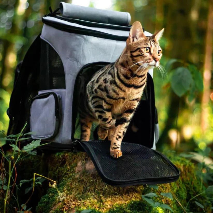 安全で快適な旅行のための窓付きWhiskerVoyage猫用バックパック