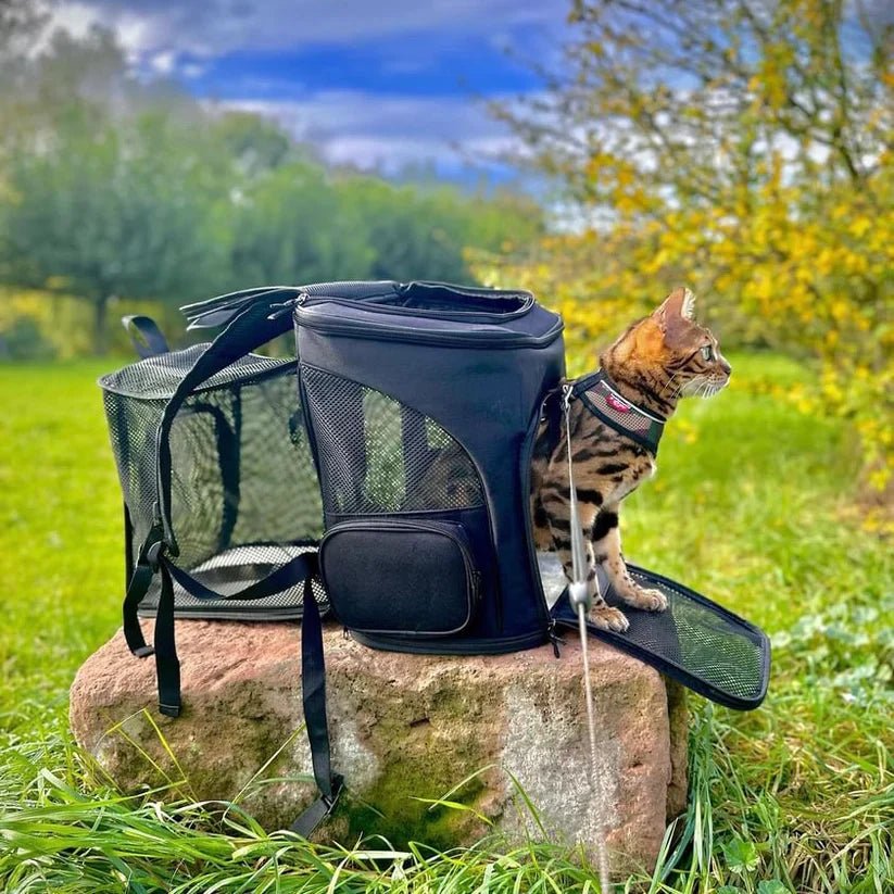 安全で快適な旅行のための窓付きWhiskerVoyage猫用バックパック