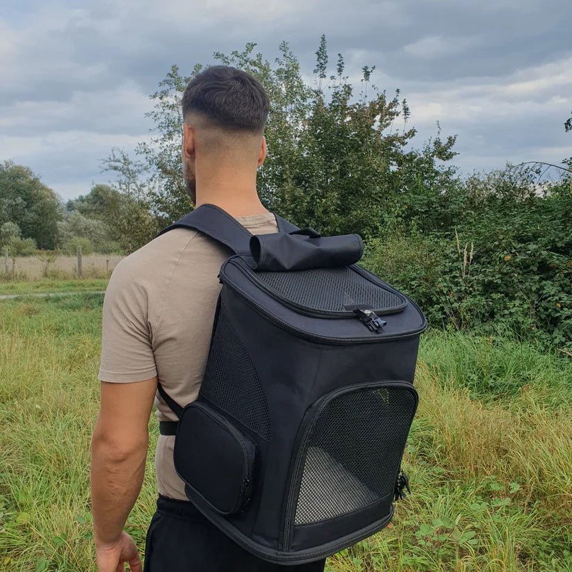 安全で快適な旅行のための窓付きWhiskerVoyage猫用バックパック