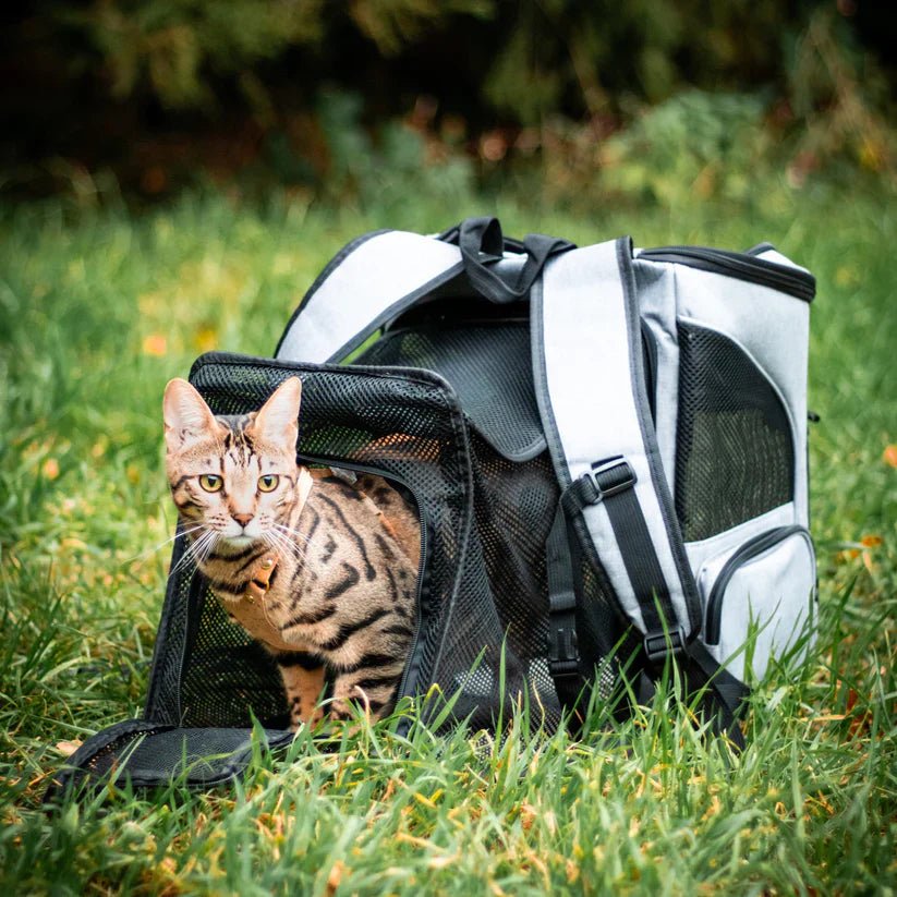安全で快適な旅行のための窓付きWhiskerVoyage猫用バックパック