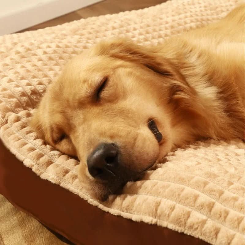 クラウドネスト オーソペディック 犬用ベッド すべての犬種に最適なサポート付き