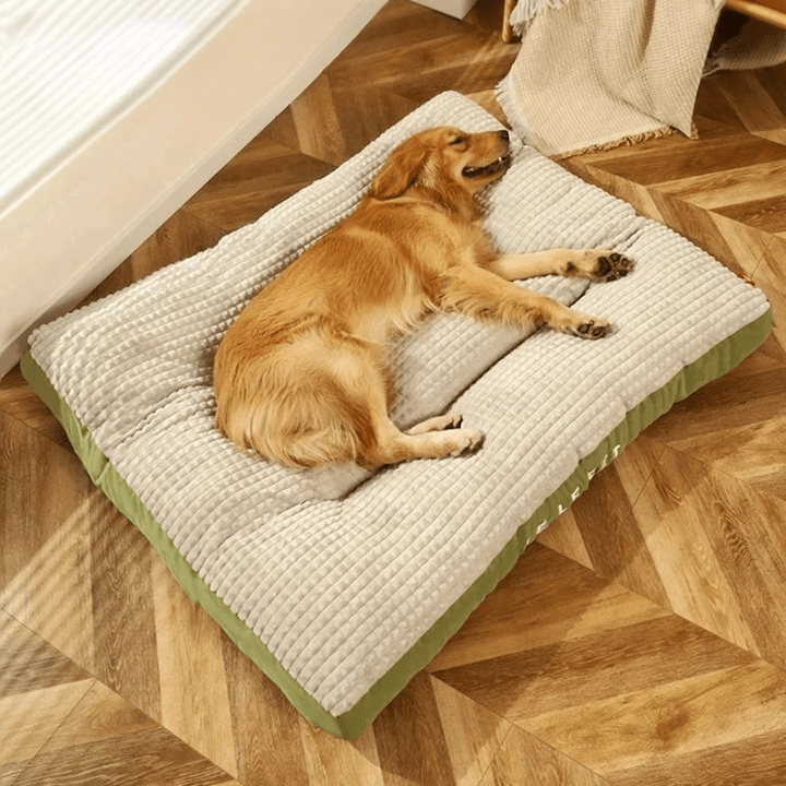 クラウドネスト オーソペディック 犬用ベッド すべての犬種に最適なサポート付き