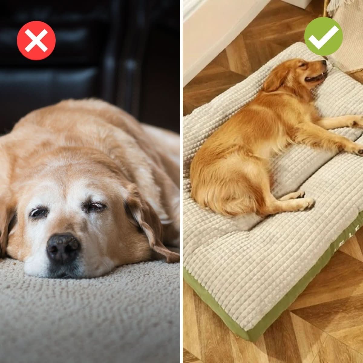 クラウドネスト オーソペディック 犬用ベッド すべての犬種に最適なサポート付き