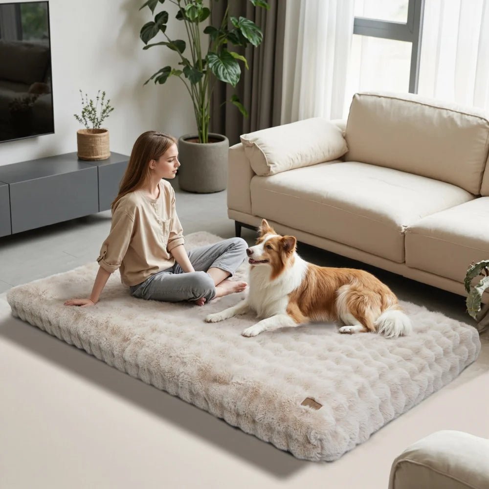 撥水カバーと厚手パッド付きのぬいぐるみペットベッド ノヴァポー 犬と猫用