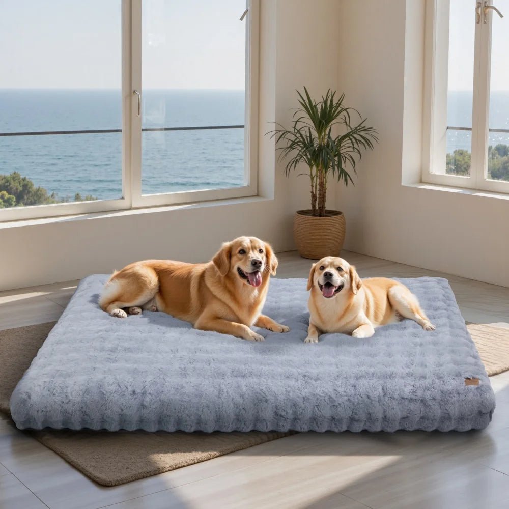 撥水カバーと厚手パッド付きのぬいぐるみペットベッド ノヴァポー 犬と猫用