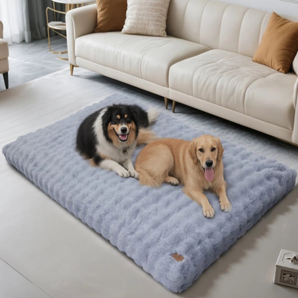 撥水カバーと厚手パッド付きのぬいぐるみペットベッド ノヴァポー 犬と猫用