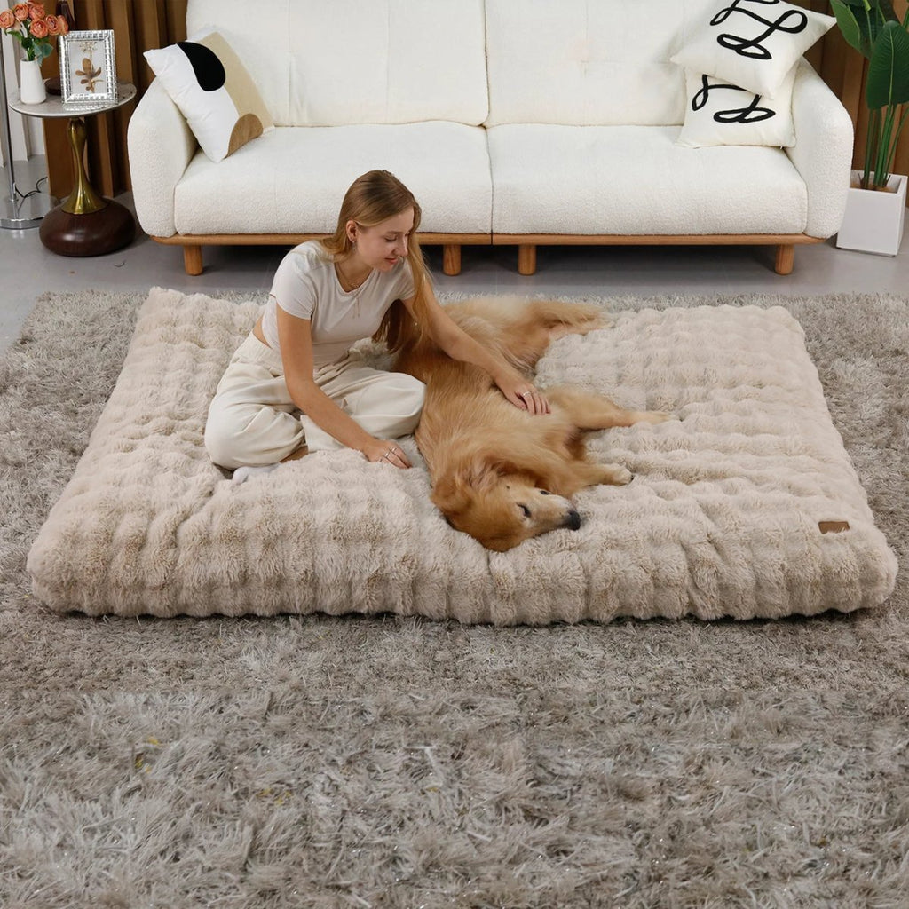 撥水カバーと厚手パッド付きのぬいぐるみペットベッド ノヴァポー 犬と猫用