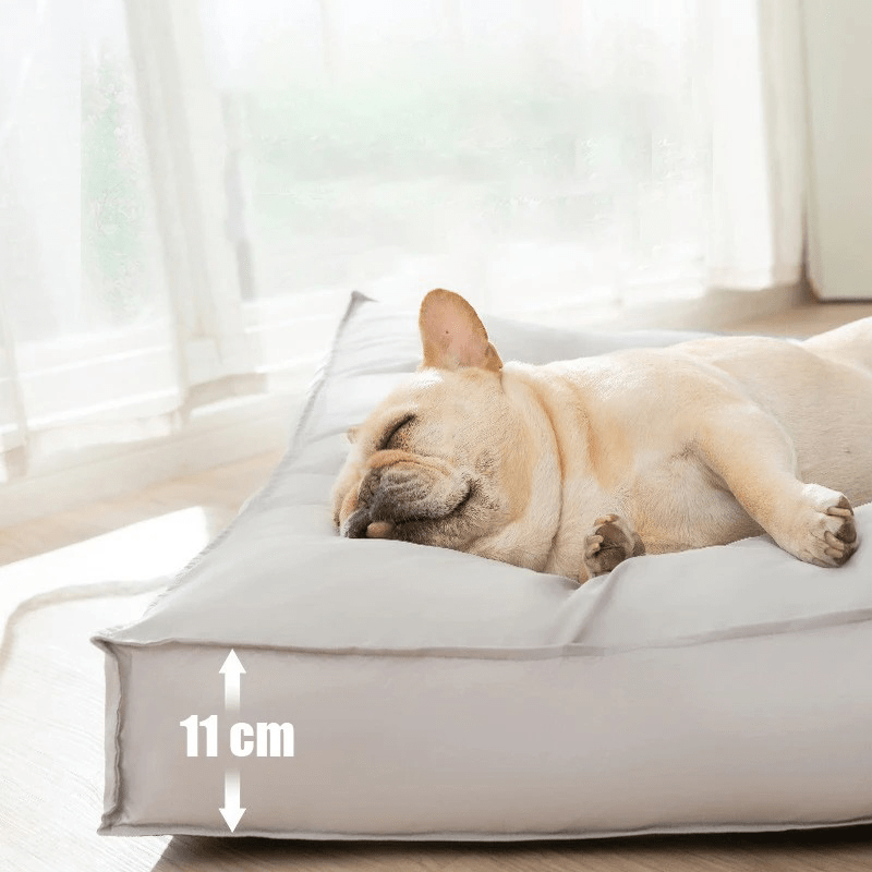 CozyTrax 整形外科用メモリーフォーム犬用ベッド、防水・引っかき防止付き