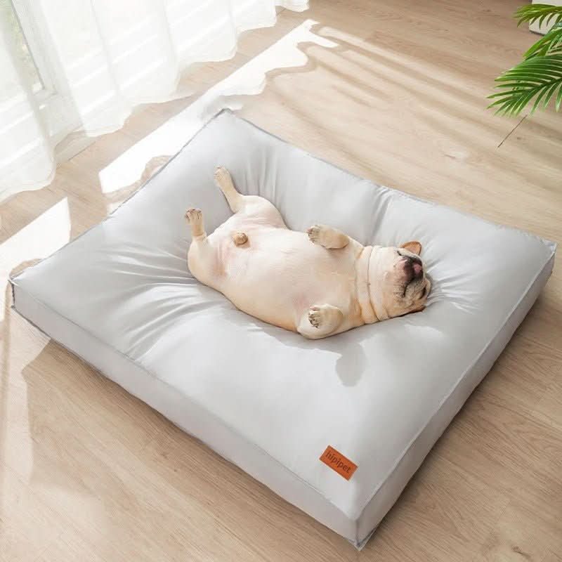 CozyTrax 整形外科用メモリーフォーム犬用ベッド、防水・引っかき防止付き