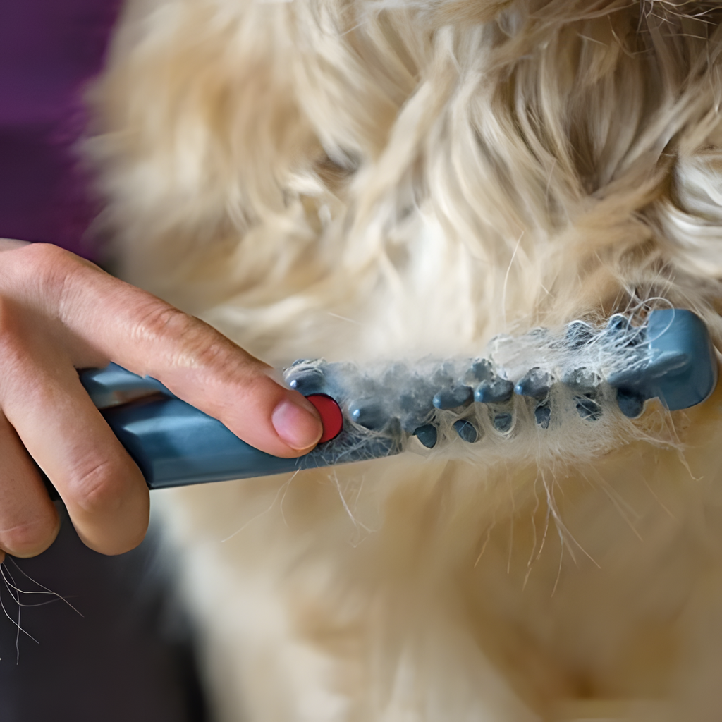 猫と犬のもつれた毛をやさしくほぐすトリマー