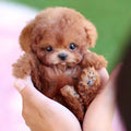 NovaPup ロボット子犬 インタラクティブおもちゃ 子供向け 歩いて、吠えて、しっぽを振る