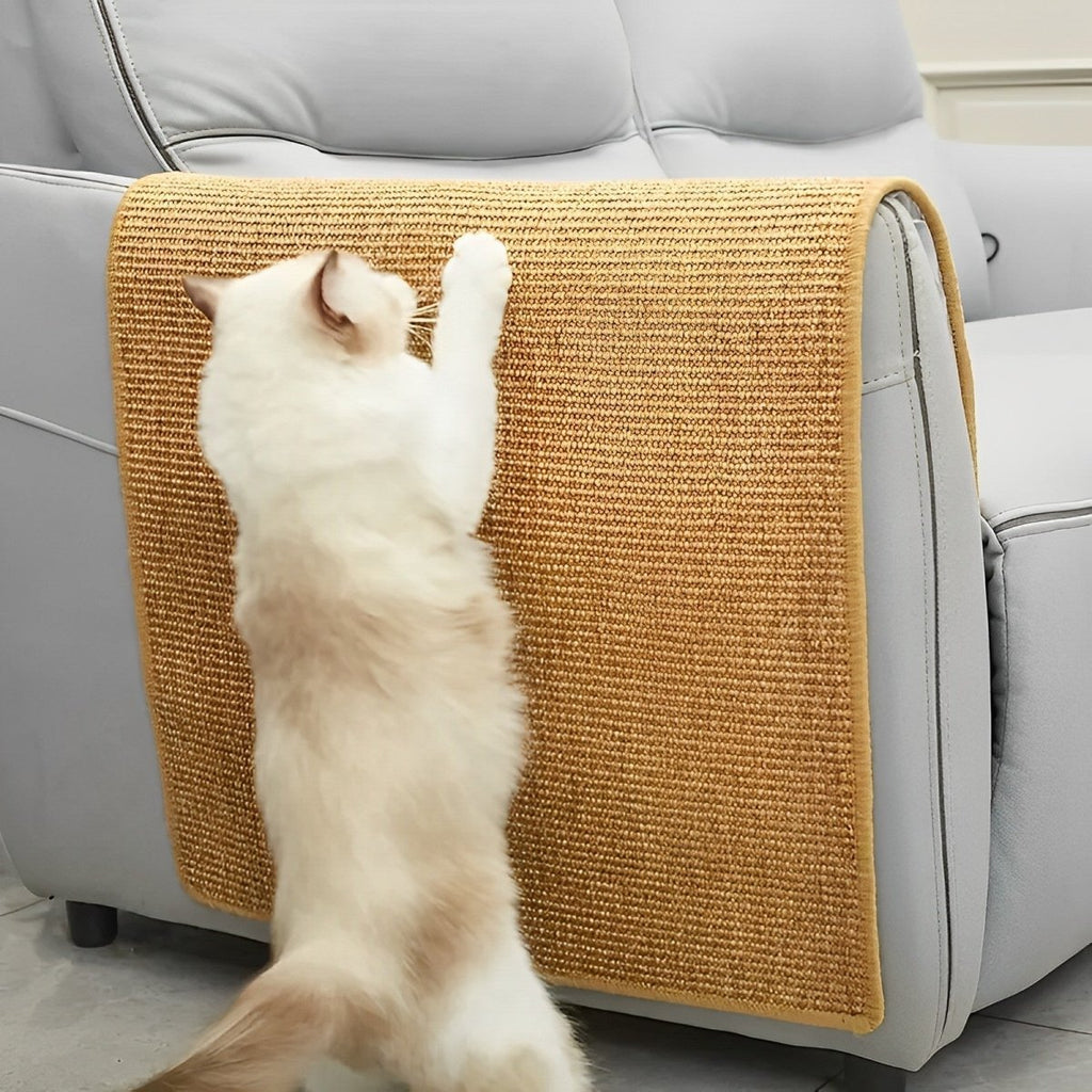 ウィスカケア 猫用爪とぎポスト 猫の爪の健康と遊びのために 猫の飼い主向け