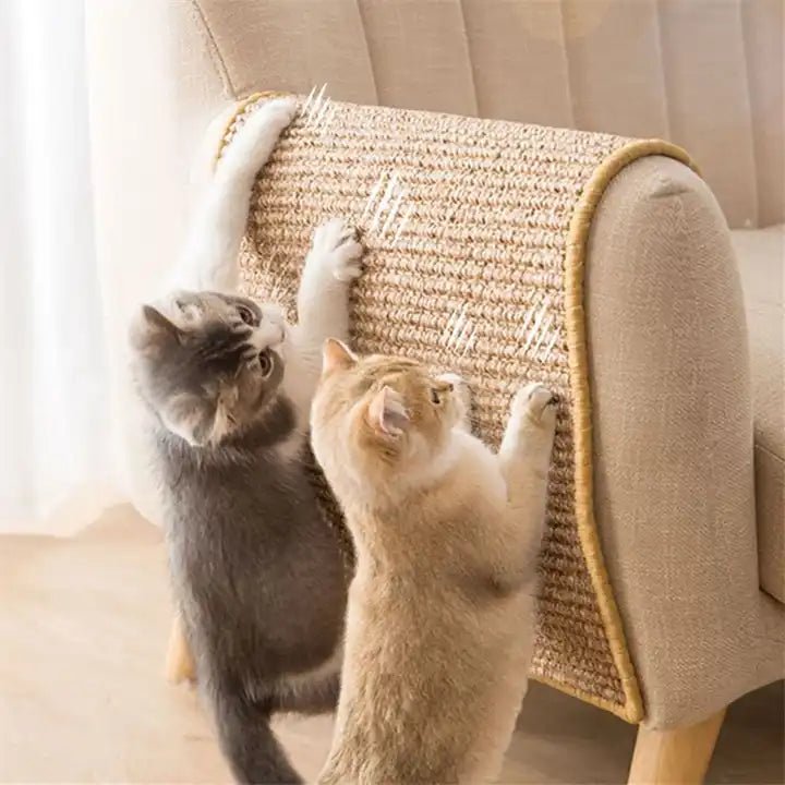 ウィスカケア 猫用爪とぎポスト 猫の爪の健康と遊びのために 猫の飼い主向け