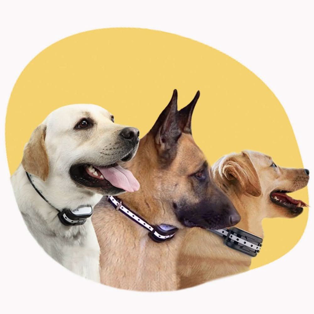 PawGuard 300 ワイヤレス犬用フェンス＆トレーニングカラーシステム ペットオーナー向け