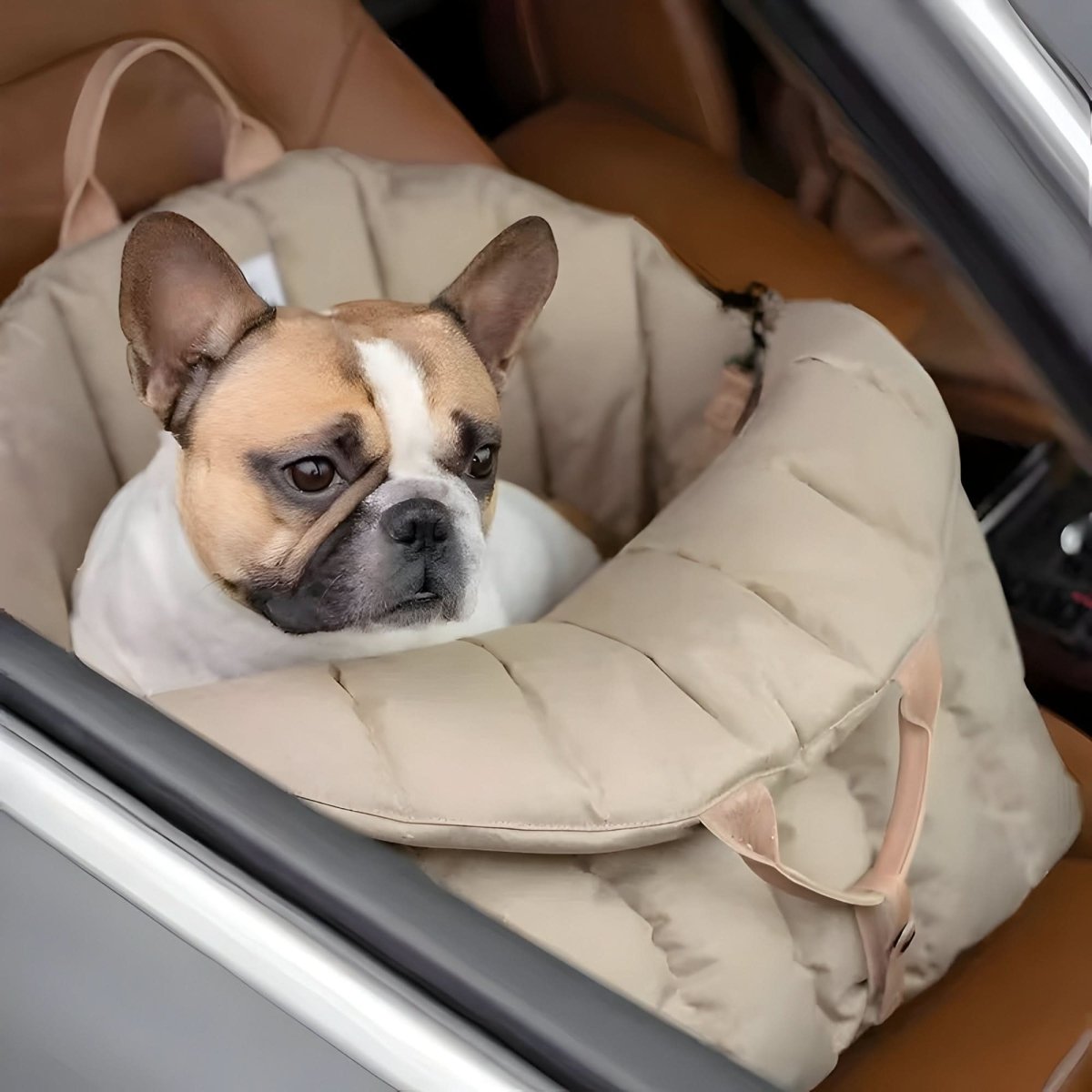 CozyPaw 軽量小型犬用キャリーバッグ 暖かい裏地と安全ベルト付き