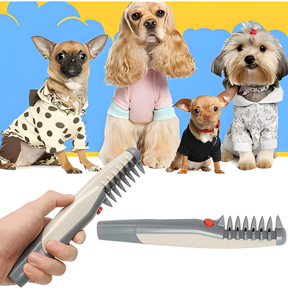 猫と犬のもつれた毛をやさしくほぐすトリマー