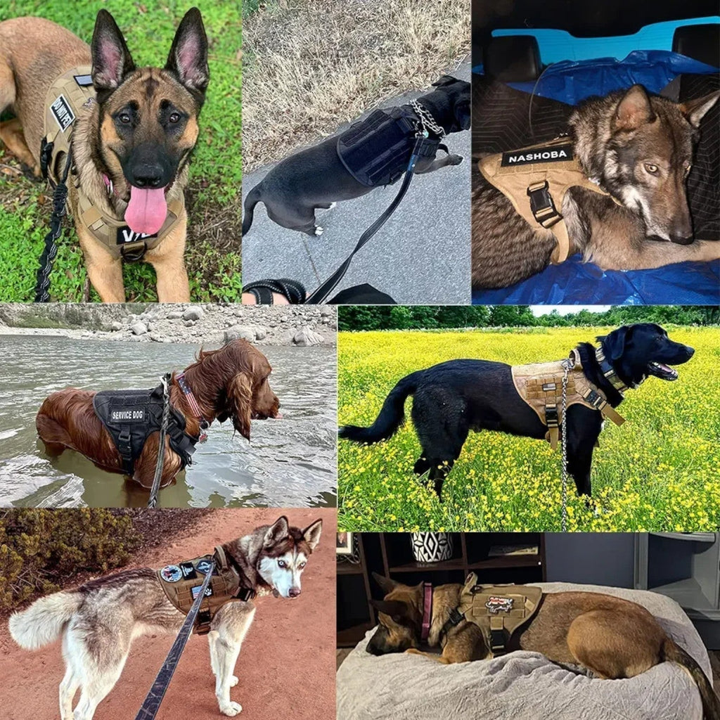 クイックリリースシステム付きタクティカルトレーニングベスト用タフな戦術犬用ハーネス