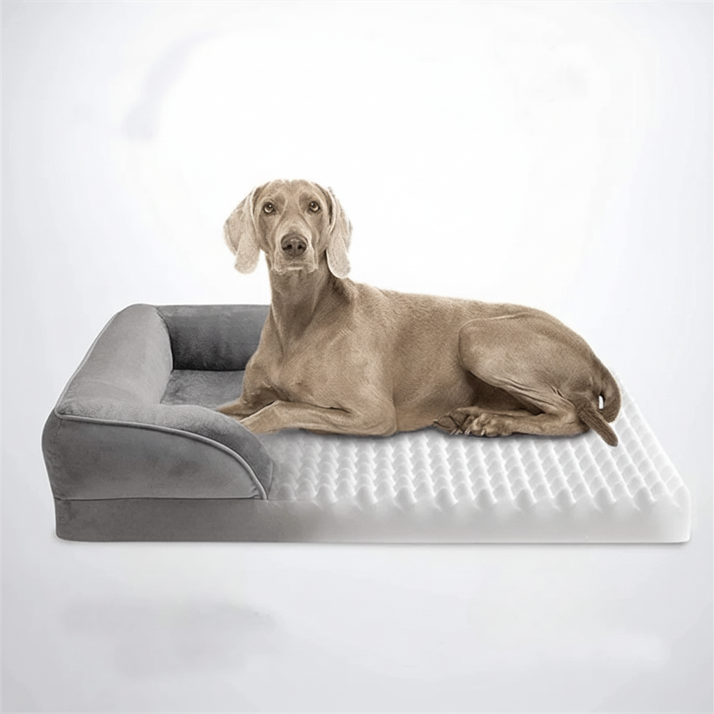 LuxePaw コンフォートベッド 関節ケア用オーソペディック犬用ベッド 取り外し可能なベルベットカバー付き