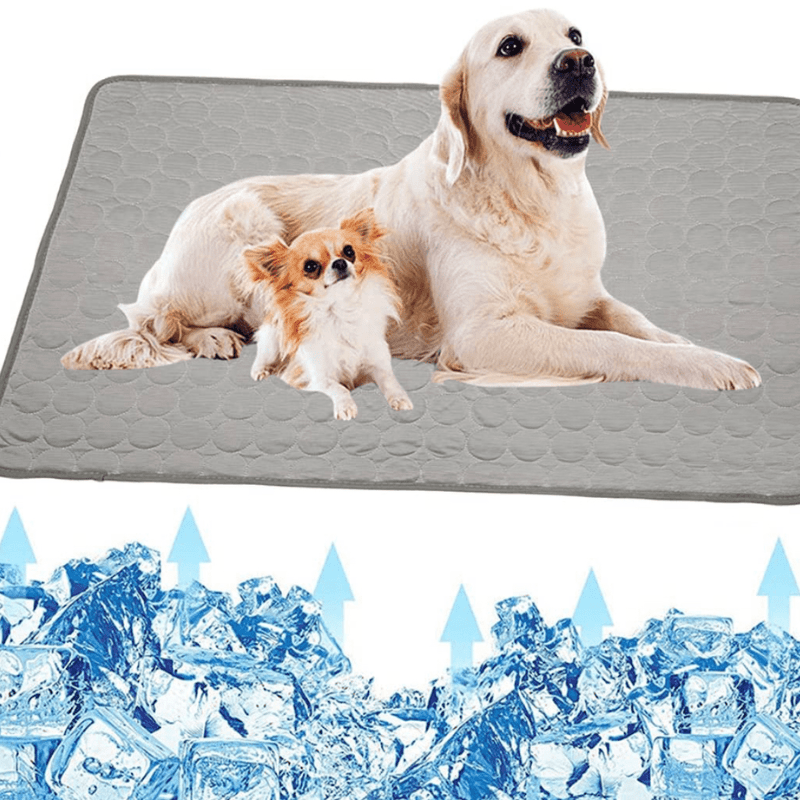 ChillPaw hűsítő kutyapárna azonnali felfrissülésért és kényelemért kutyabarátoknak