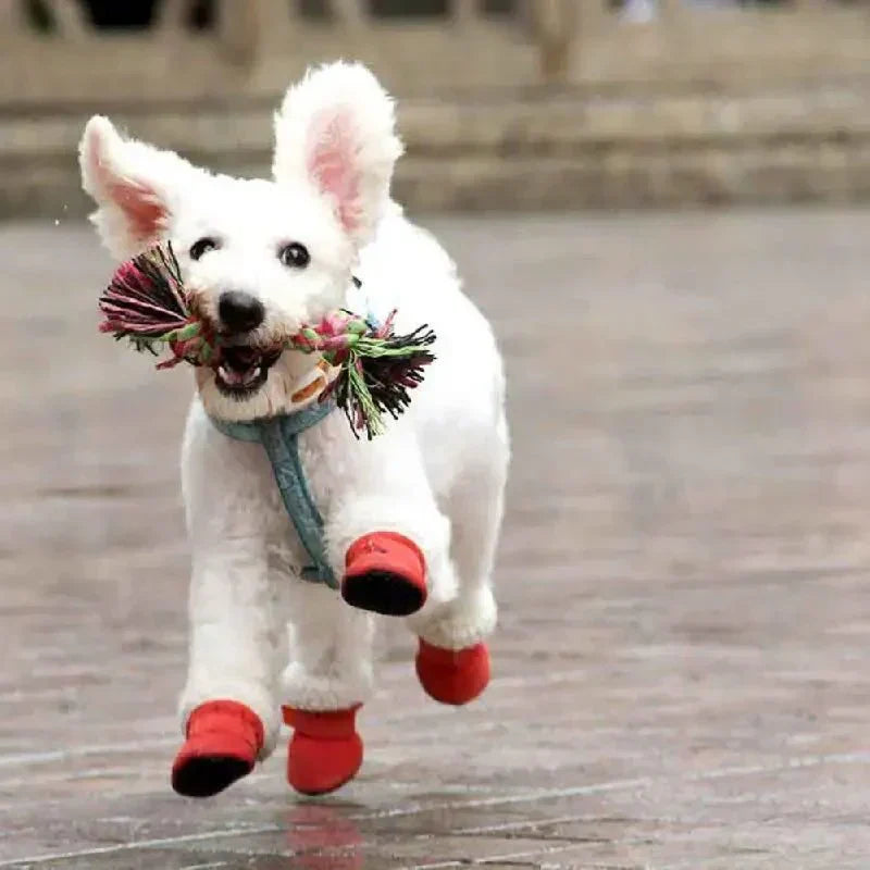 PolarPaw 防水犬用ブーツ 滑り止め付き