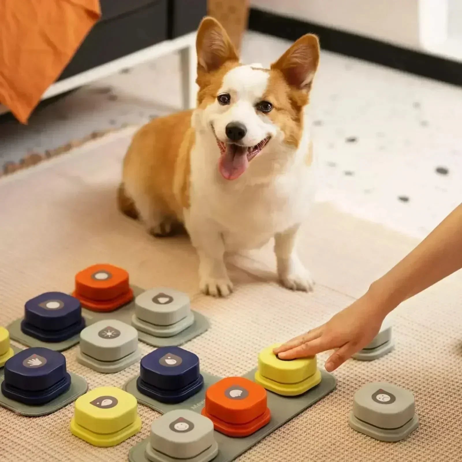 ペットブリッジ インタラクティブ犬用ボタン 録音機能付き ペットの飼い主向け