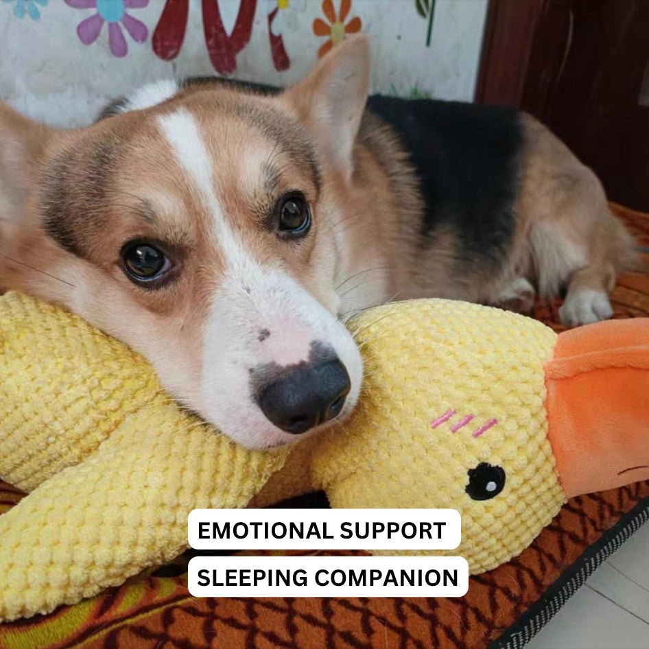 クアッカーパップ 犬用アヒルおもちゃ インタラクティブなクワック音付き