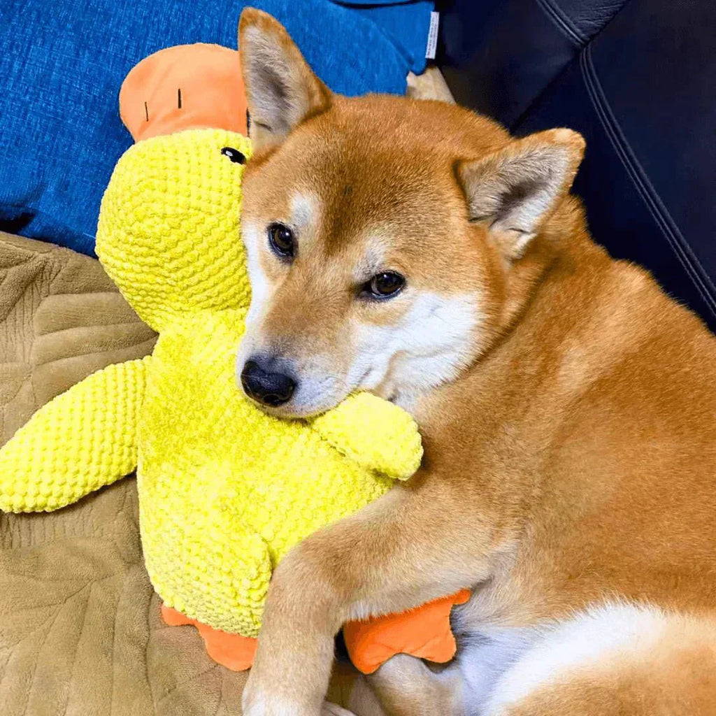 クアッカーパップ 犬用アヒルおもちゃ インタラクティブなクワック音付き