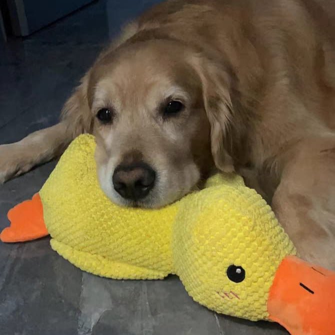 クアッカーパップ 犬用アヒルおもちゃ インタラクティブなクワック音付き
