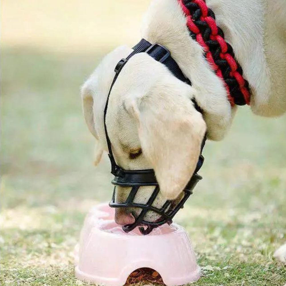 Oddychający kaganiec dla psa BreezeGuard z regulowanymi paskami dla bezpiecznych interakcji