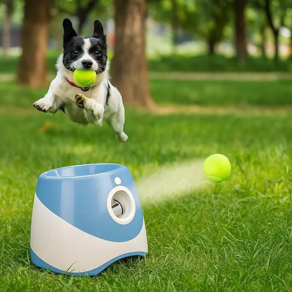 PawPulse 犬用自動ボール投げ機 充電式USBトイ 調節可能な投球機能付き