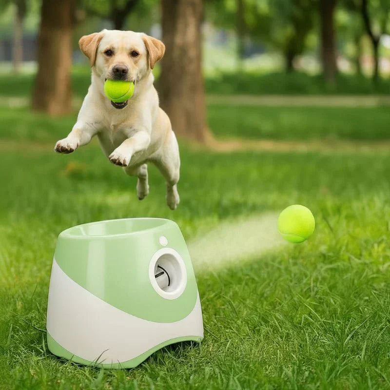 PawPulse 犬用自動ボール投げ機 充電式USBトイ 調節可能な投球機能付き