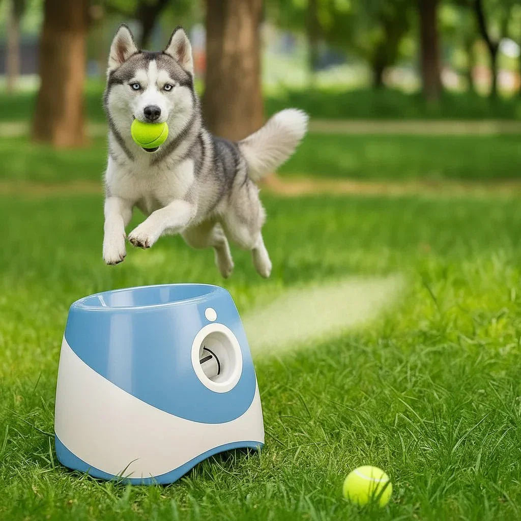 PawPulse 犬用自動ボール投げ機 充電式USBトイ 調節可能な投球機能付き