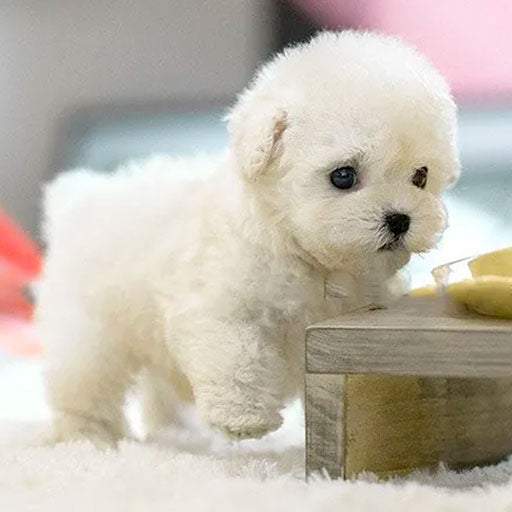 リアルなぬいぐるみAI犬ロボット 家で歩いて吠える