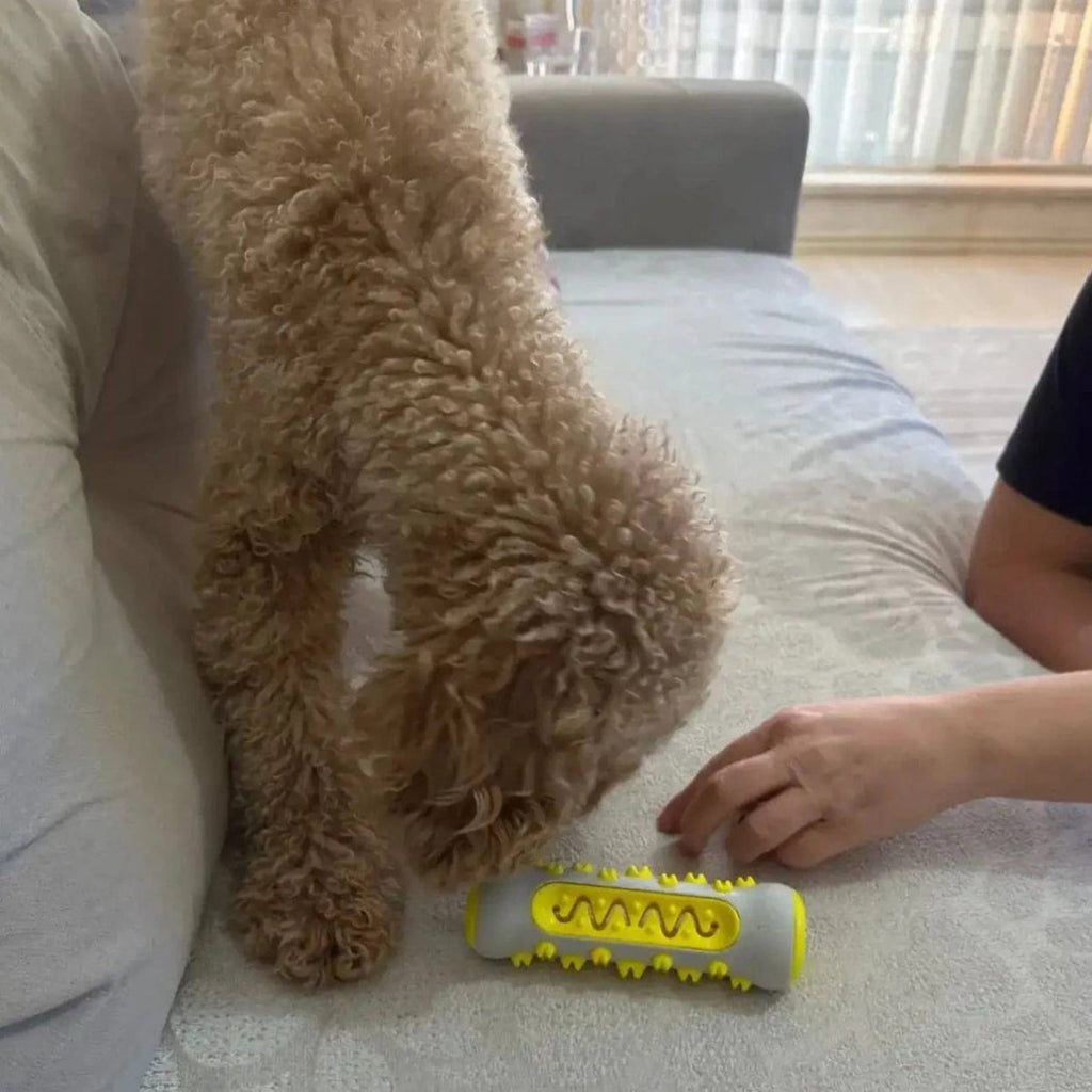 AuraPaws ラベンダー＆カモミール 安心できる犬用おもちゃ 不安軽減用 無毒性ポリマー製