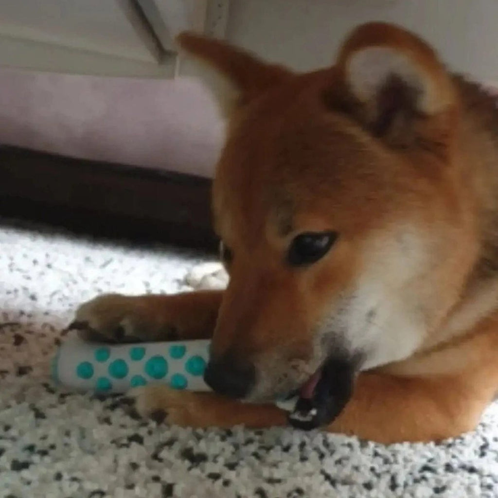 AuraPaws ラベンダー＆カモミール 安心できる犬用おもちゃ 不安軽減用 無毒性ポリマー製